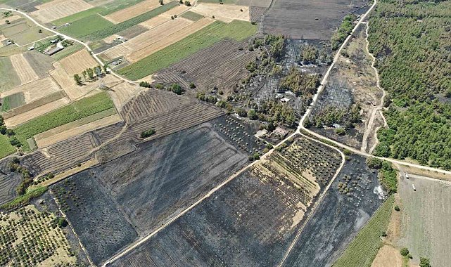 Başkan Bozbey'den ağaçlandırma çağrısı
