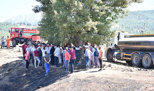Başkan Kotan, Doyran'daki yangın alanında incelemelerde bulundu