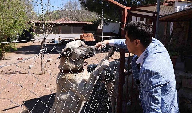 Başkan Ünlü'den 'sahiplenme' çağrısı