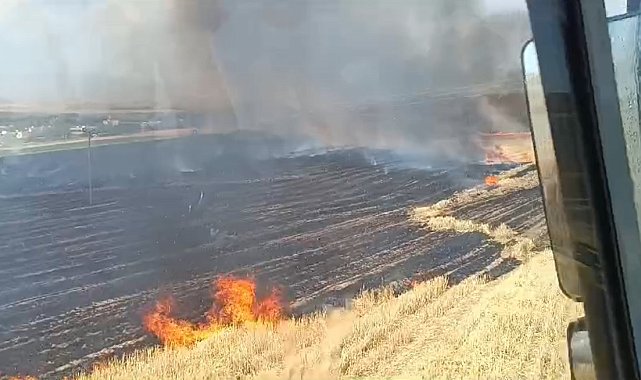 Batman'da anız yangını