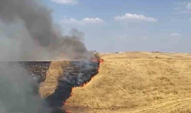 Batman'da çıkan anız yangını kontrol altına alındı