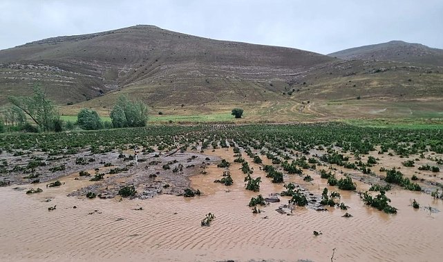 Bayburt'ta dolu ekili alanlara zarar verdi