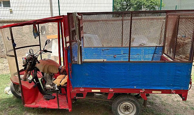 Bazada bulunan cesedin sırrı çözüldü