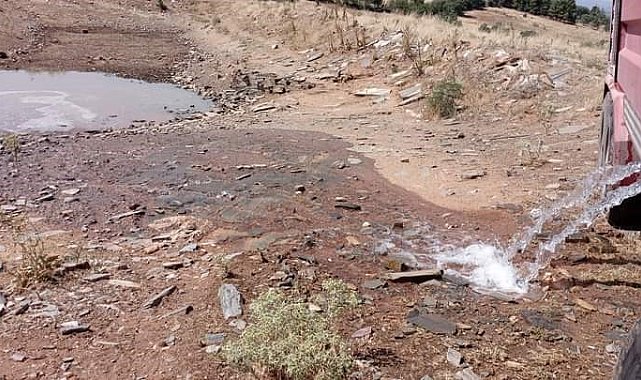 Bekilli'de vahşi hayvanlar için göletlere su takviyesi yapıldı