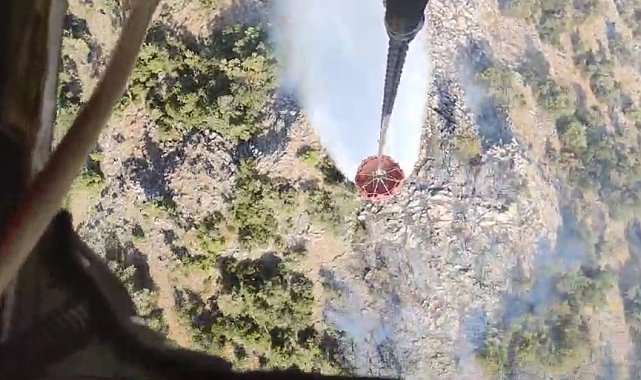 Bergama'daki orman yangını kontrol altında