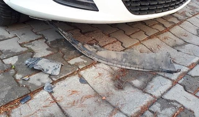 Beylikdüzü'nde sokak köpekleri park halindeki arabayı parçaladı