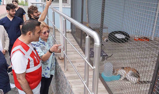 Beyoğlu Belediyesi ve Espressolab'tan sokak hayvanları için işbirliği