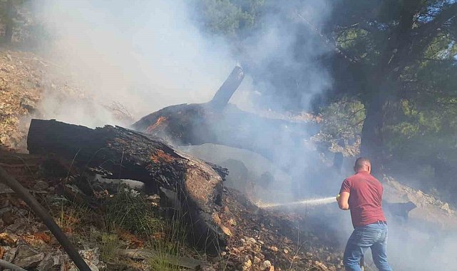 Bigadiç&#039;teki orman yangını kontrol altında
