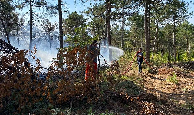 Bilecik'te dün başlayan orman yangınında 4 dekar alan kül oldu
