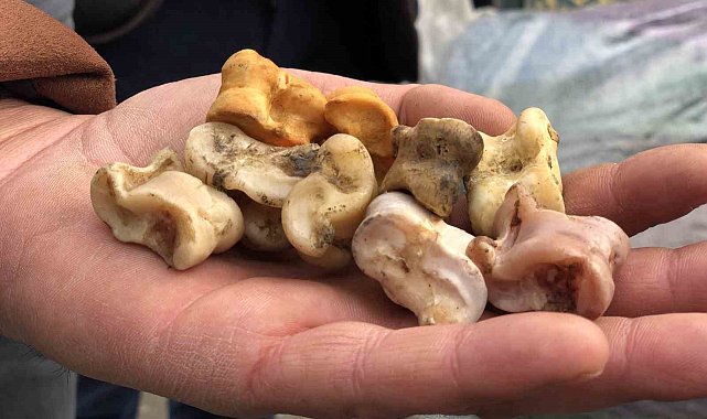 Bin yıllık 'aşık oyunu' Erzincan'da hayat buldu