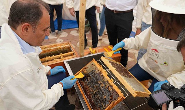 Bingöl'de bal hasadı başladı