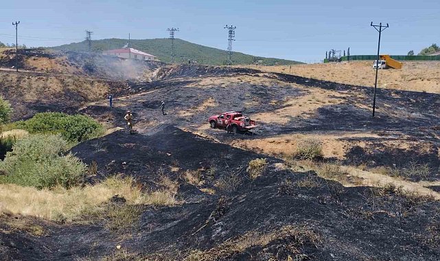 Bingöl'de çıkan orman yangını büyümeden söndürüldü