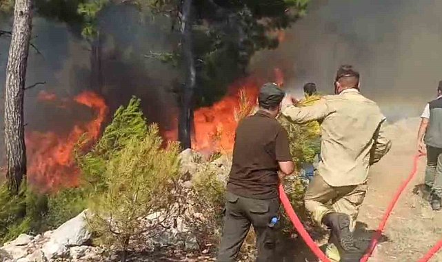 Bodrum&#039;da &#039;Ateş Savaşçıları&#039; alevlerle göğüs göğüse mücadele ediyor
