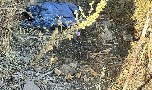 Bodrum'da dağda insan kemikleri bulundu