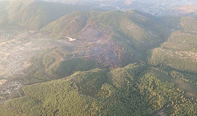 Bodrum'daki orman yangını kontrol altına alındı