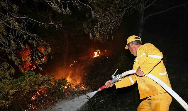 Bodrum'daki orman yangınının söndürme çalışmalarında 11. saate girildi