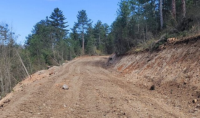 Bolu'da 12 kilometrelik orman yolu açıldı: Yangınlara daha hızlı müdahale edilecek