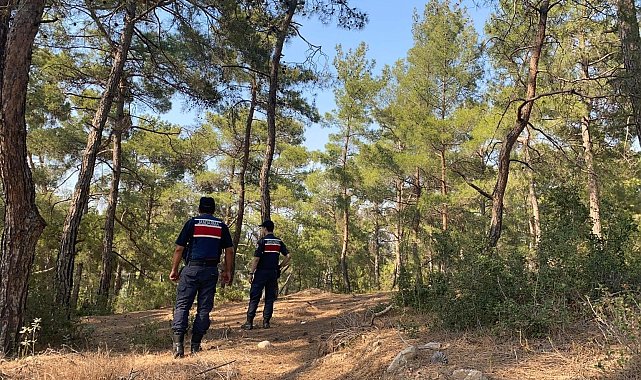Bozdoğan'da 'orman yangını' devriyesi