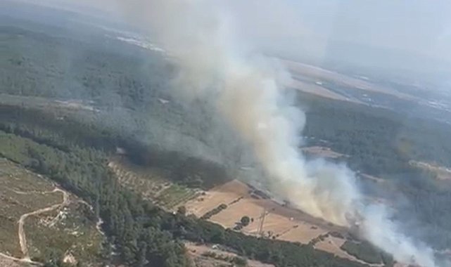 Buca'daki orman yangını kontrol altında