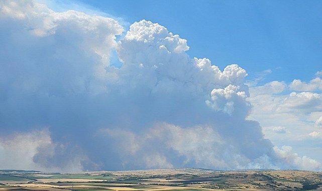 Bulgaristan-Türkiye sınırında yangın: Alevler sınıra dayandı