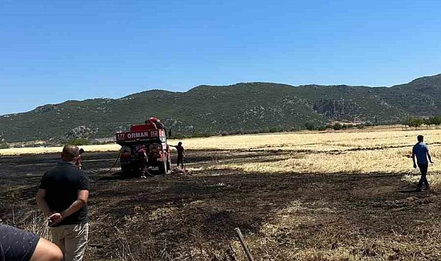 Burdur'da hasat yapılırken çıkan yangında 1 dekar alan yandı