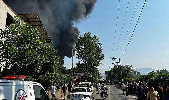 Bursa'da kağıt ve elyaf fabrikasında büyük yangın
