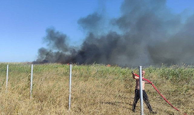 Bursa'da sazlık alanda yangın