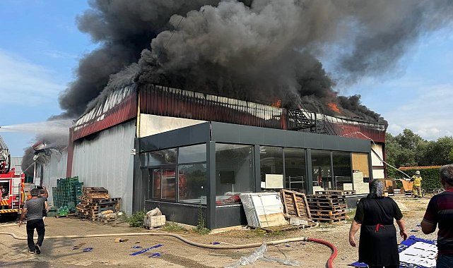 Bursa'da soğuk hava deposu alev alev yandı