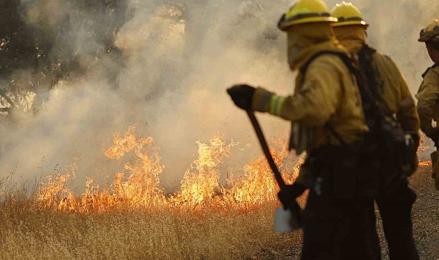 California tarihinin en büyük 6. orman yangını: 373 bin dönümden fazla alan kül oldu