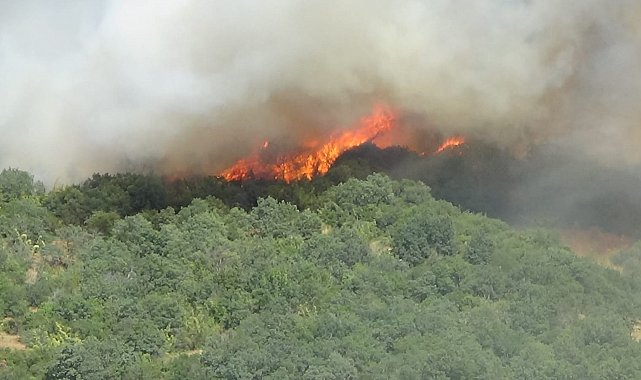 Çanakkale Valiliği'nden orman yangınlarına karşı uyarı