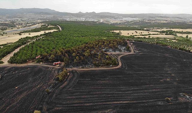 Çanakkale'de bir ayda 132 yangın: 2 bin 625 futbol sahası büyüklüğünde orman yok oldu