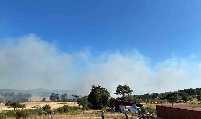 Çanakkale'de orman yangını: Havadan ve karadan müdahale ediliyor