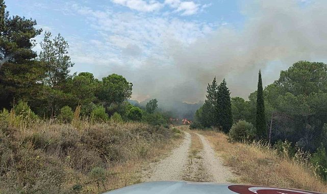 Çanakkale'deki orman yangını kontrol altına alındı