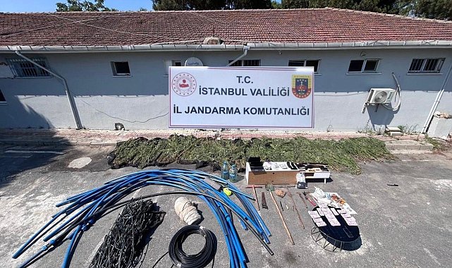 Çatalca&#039;da ormanlık alanda kenevir yetiştiriciliği operasyonu: 6 gözaltı