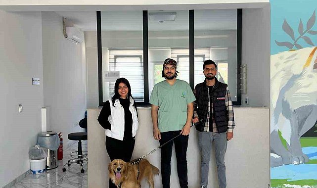 Çayırova'da 70 sokak hayvanı yeni yuvalarına kavuştu