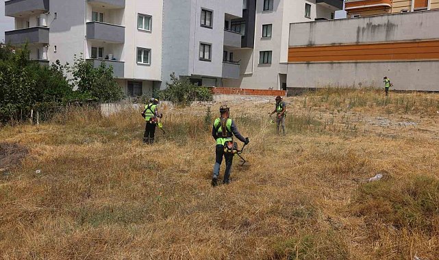 Çayırova'da yabani otlar temizleniyor