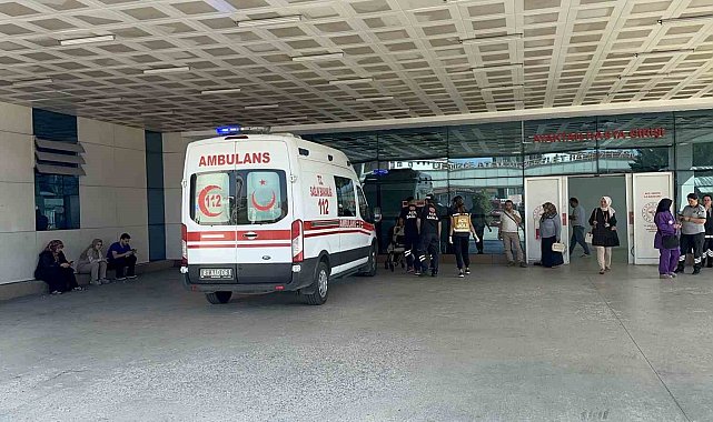 Çöp toplayıcıya çarpmamak için ani fren yapan otobüsteki 5 kişi yaralandı