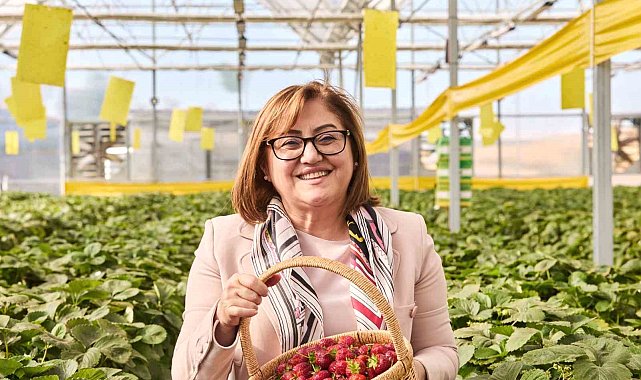 Çöplerden elde edilen ısıdan yararlanılan çilek serası ilk hasadını verdi