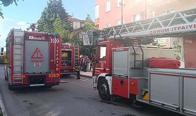 Çorum'da petshop mağazasında çıkan yangın korkuttu