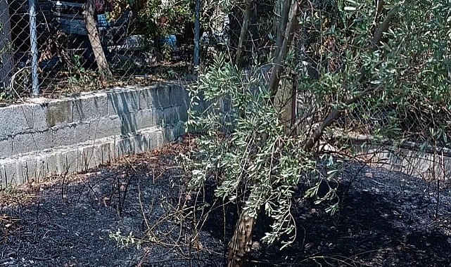 Defne'de bahçede çıkan yangın büyümeden söndürüldü