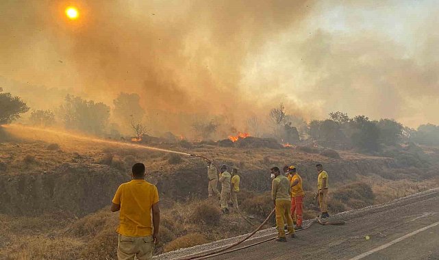 Dikili'deki orman yangınına müdahale 4 saattir sürüyor