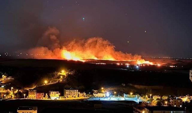 Diyarbakır'da anız yangını: Bölgedeki rüzgarın etkisiyle alevler geniş alana yayıldı