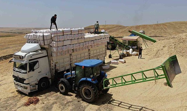 Diyarbakır'da aşırı sıcak altında preslenen samanlar Türkiye'nin birçok noktasına gönderiliyor