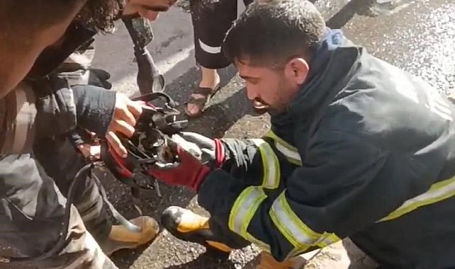 Diyarbakır'da yangından kurtarılan kediye oksijen destekli müdahale