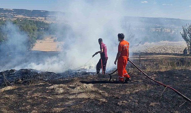 Domaniç'te barakada çıkan yangın tarlalara sıçradı