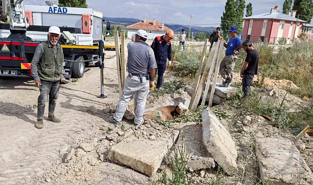 Düştüğü menfezde mahsur kalan inek kurtarıldı
