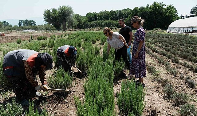 Düzce tarımda atılıma geçiyor