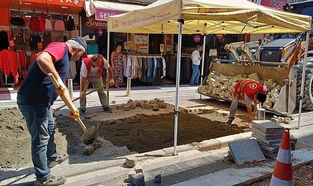 Düzce'de 63 mahallede çalışma sürüyor
