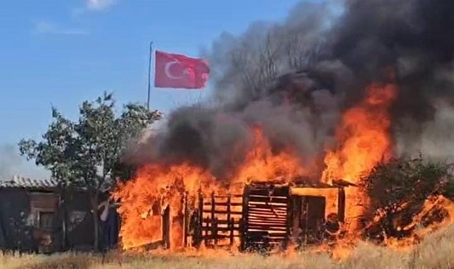Edirne'de ağıl ve tarım arazileri alev alev yandı