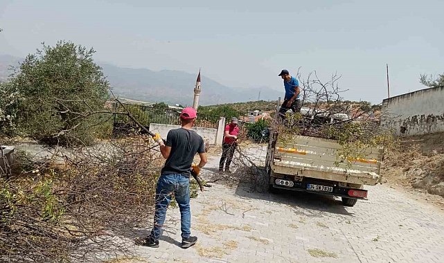 Efeler Belediyesi mezarlıklarda bakım ve temizlik çalışmalarını sürdürüyor